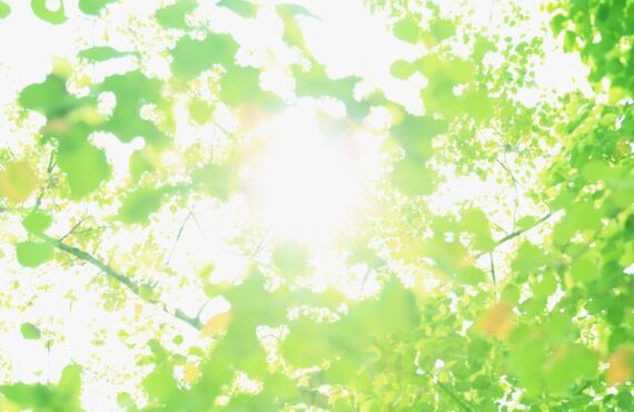 福岡市で，発達障害のあるお子さんの小学校入学準備について，個別にアドバイスいたします。